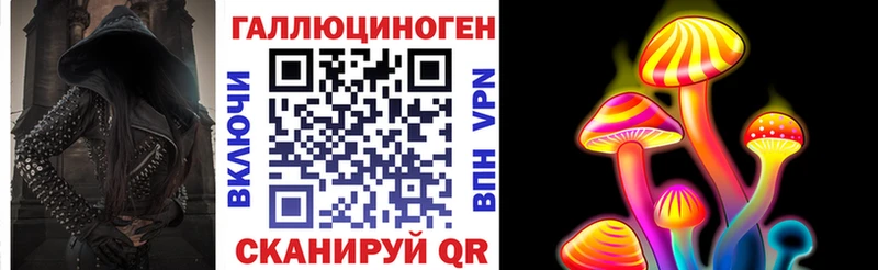 где найти Каневская OMG как зайти Псилоцибиновые грибы мухоморы